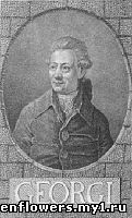 Иоганн Готлиб Георги (Johann Gottlieb Georgi) (1729 – 1802)