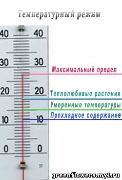 Температурный режим